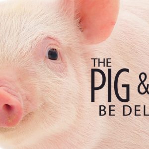 close up of a pig and pint post card