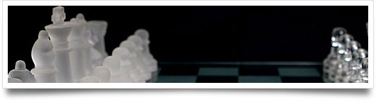 Business Strategy Evaluation